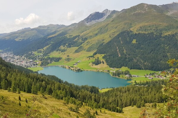Seehorn – Aussichtsgipfel über Davos