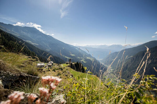 Via Valtellina