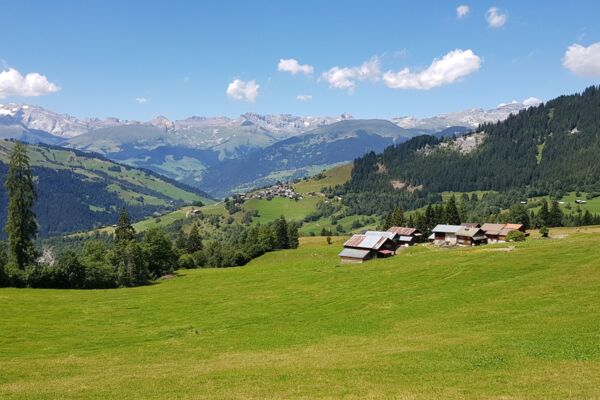 Signina – in paradis tranter valluns e chavorgias