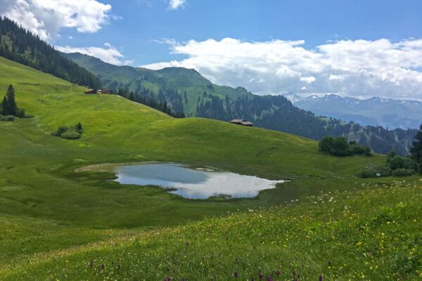 VIP-Angebot für Wanderpassinhaber:innen: Vom Stelserberg nach Pany