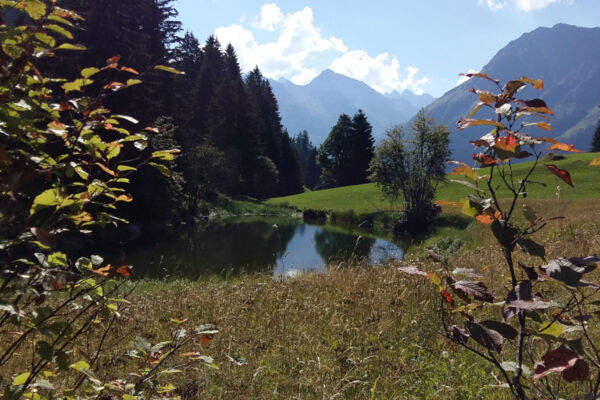 Alpsee eine Perle