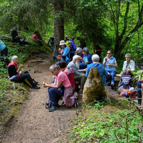 2025-04-27 Frühling Ruinaulta2