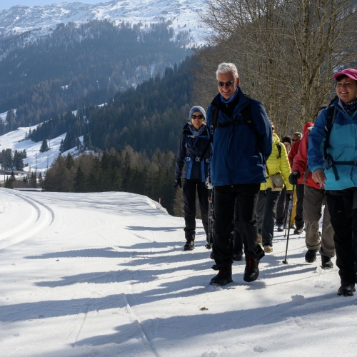20250309 Am Hinterrhein entlang 2