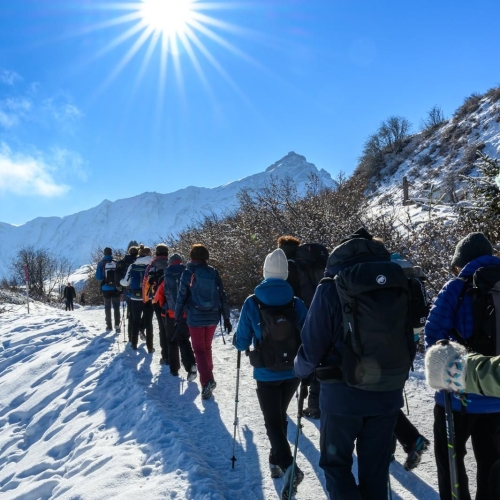 Michael_Meier_2
