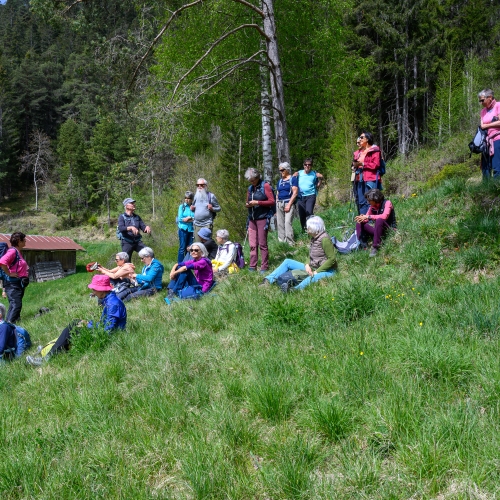 2025-04-27 Frühling Ruinaulta8