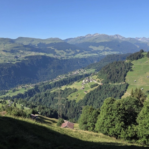 20260705_091233 (Groß)