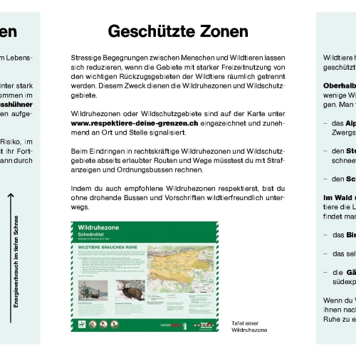 Wildtierfreundlich in die Natur