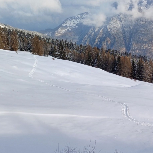 2025-01-12_Heinzenberg_8_Felix