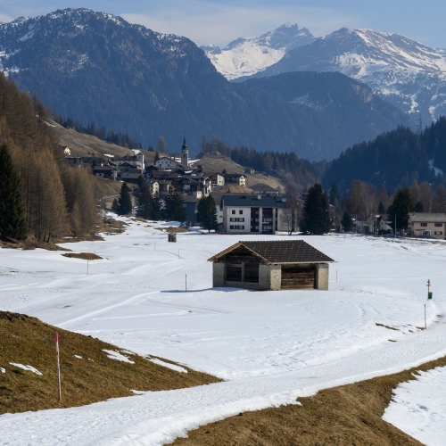 20250309 Am Hinterrhein entlang 1