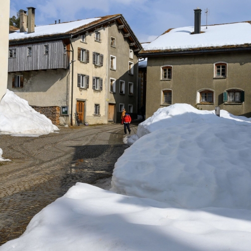 20250309 Am Hinterrhein entlang 9