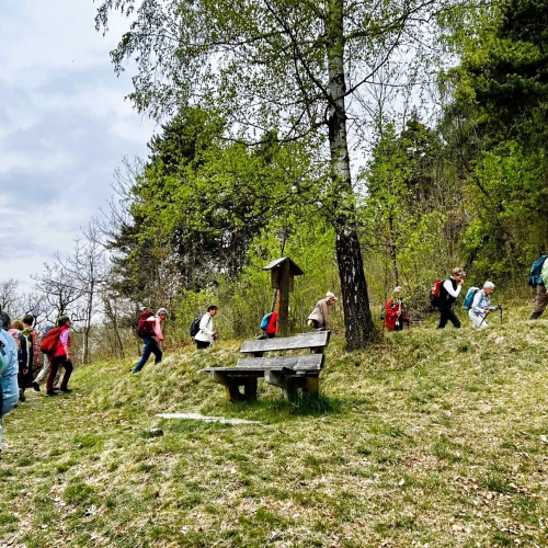 Bild_5_12