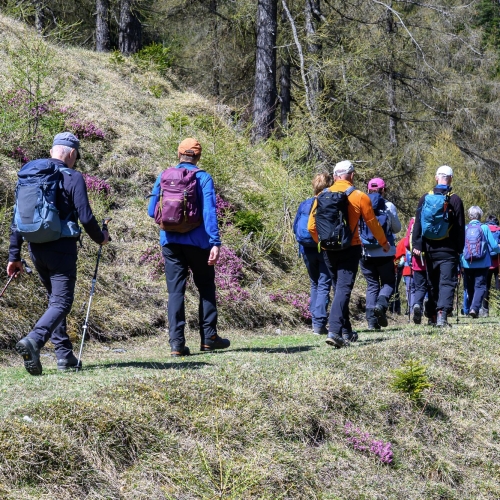 WWGR Kunkelspass 36