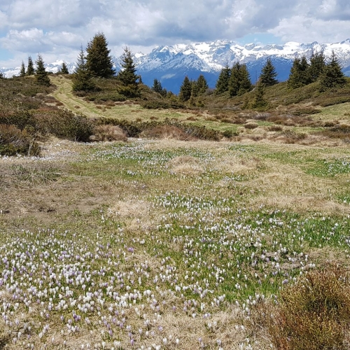 20250518_121239_Ruedi-Zuber