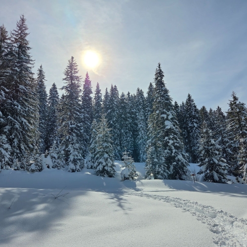 Foto Ruedi Zuber5