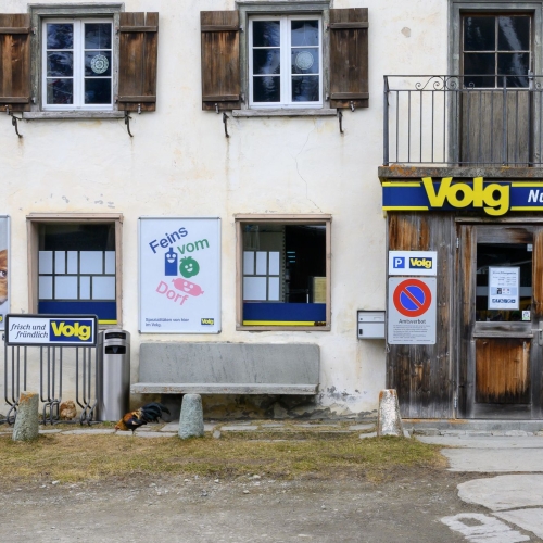 20250309 Am Hinterrhein entlang 6