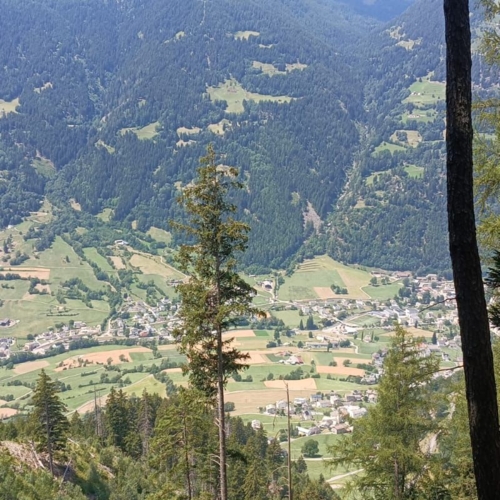 IMG-20260810-WA0015