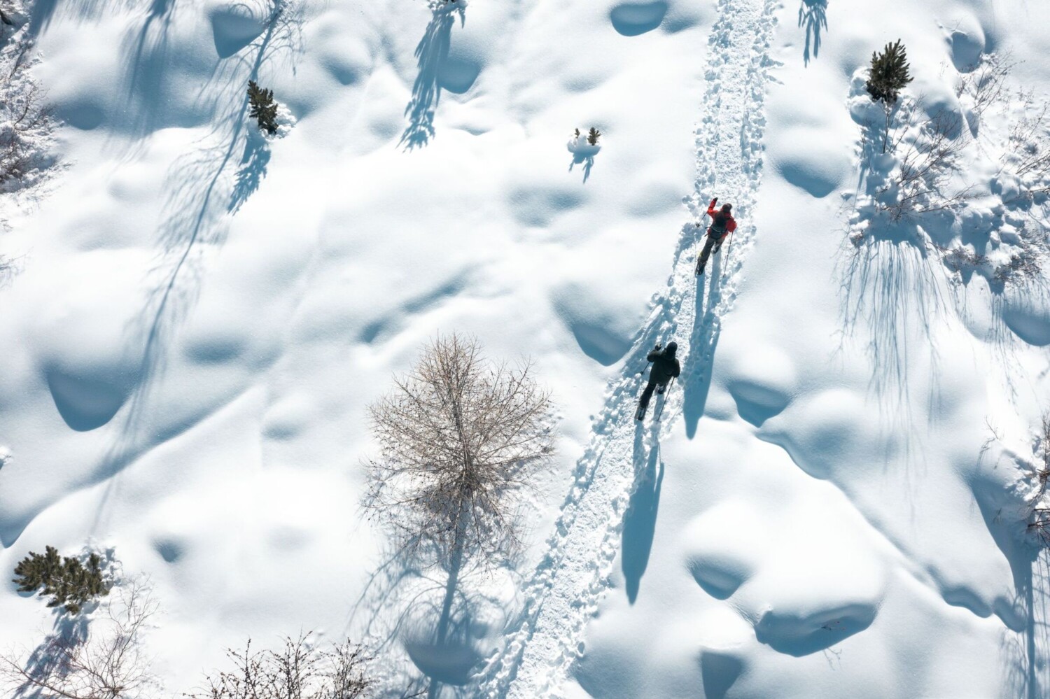 @Engadin Tourismus AG