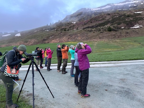 BLWL_24-25_M03_Wergenstein_17_by_Lucas_Desax