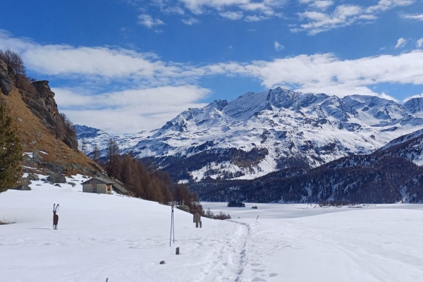 Dal lai da Segl a l’alp Mouttatsch