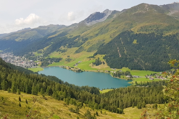 Das Seehorn - aussichtsreicher Kegel bei Davos
