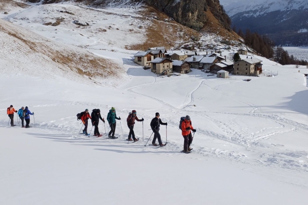 Dal lai da Segl a l’alp Mouttatsch