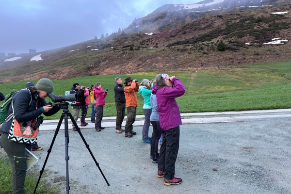 BLWL_24-25_M03_Wergenstein01_by_Lucas_Desax