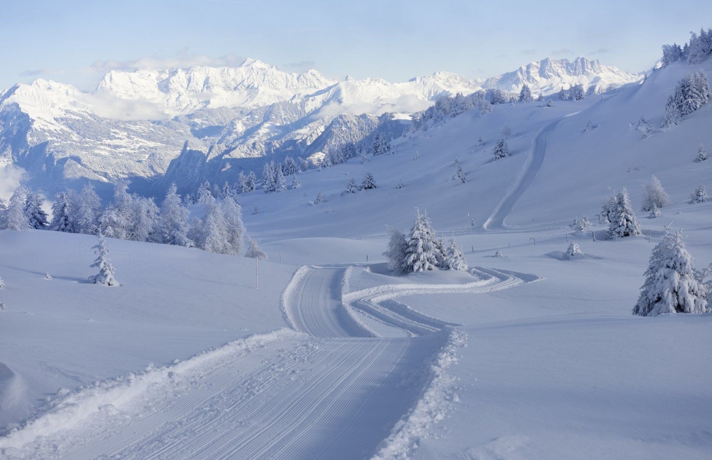 SC_SH3318_SCHNEESCHUH_FELDIS_D118658-large