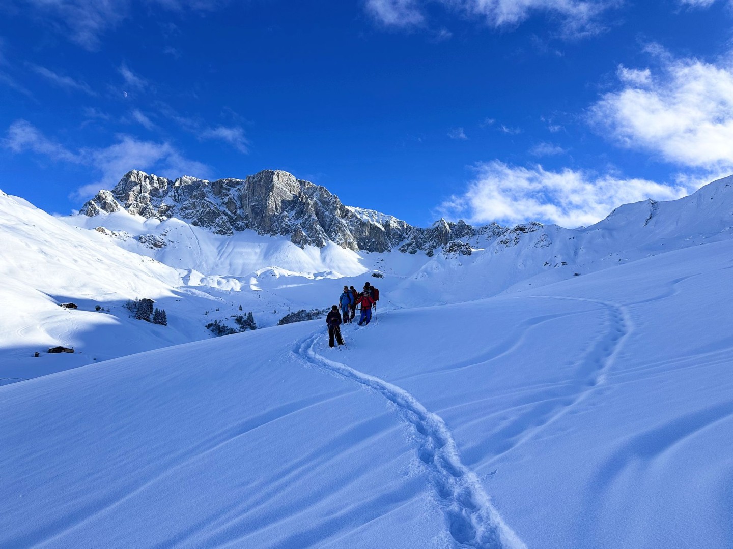 BLWL_24-25_M07_1841_by_L