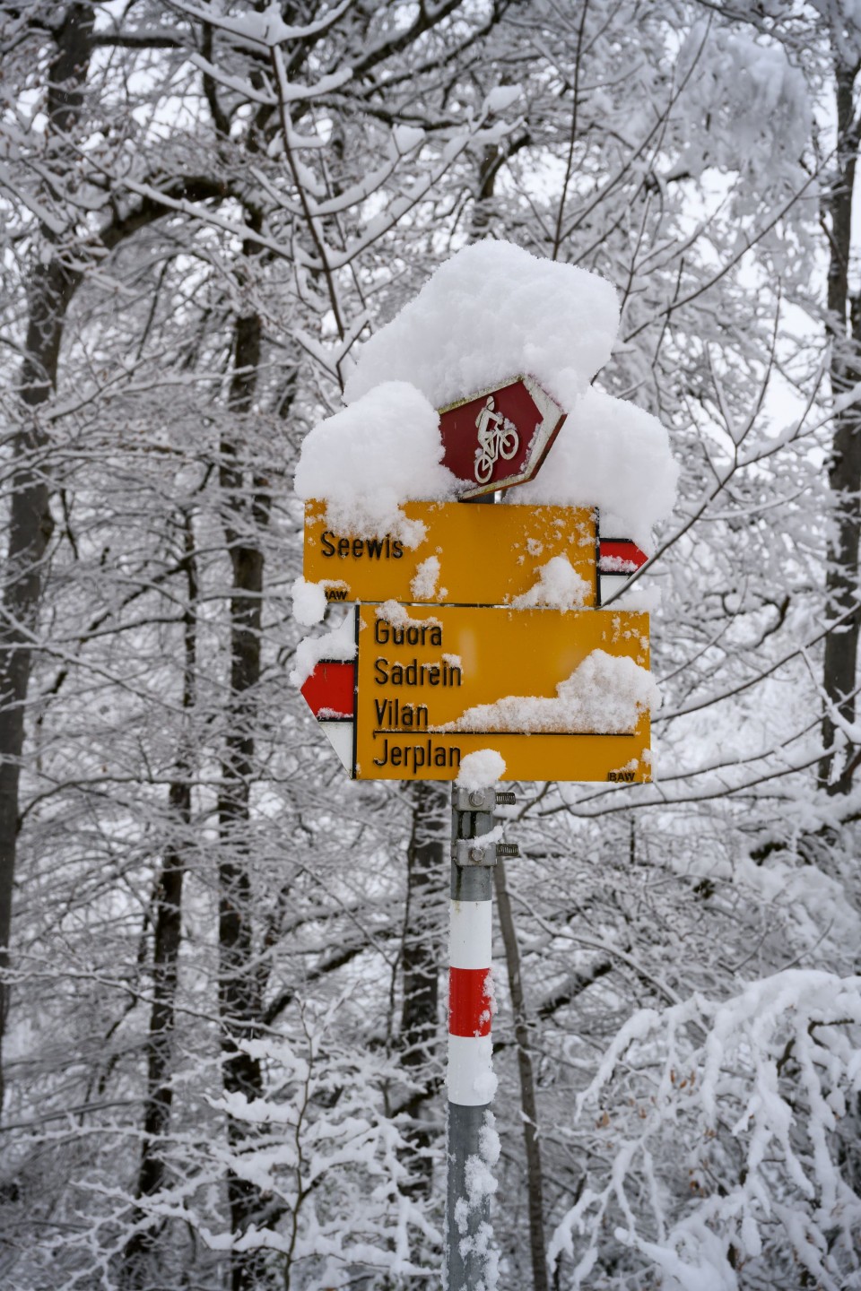 Wintereinbruch_Seewis_7