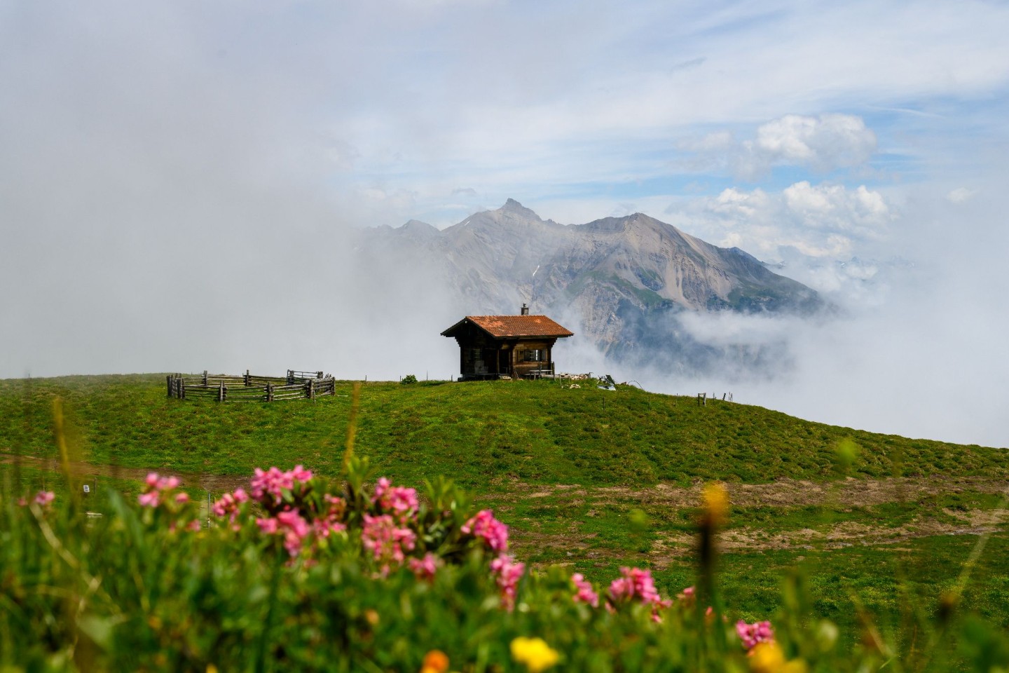 Obermutten_2_M