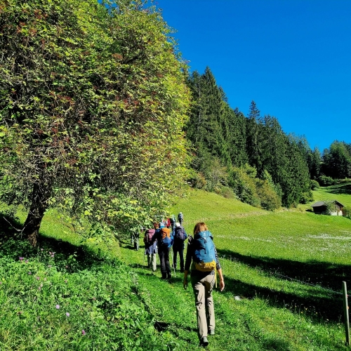 20250928_114041_resized