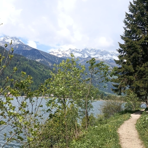 IMG_20250511_114942_732
