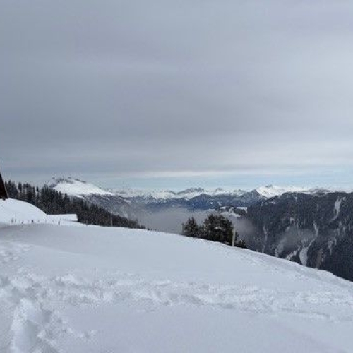 2023-12-09-6