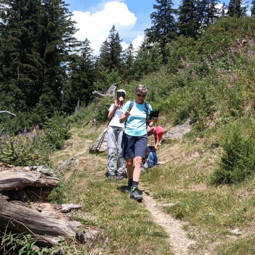 IMG-20260810-WA0017