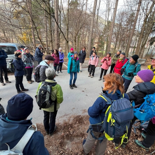 20251129_091519368_iOS