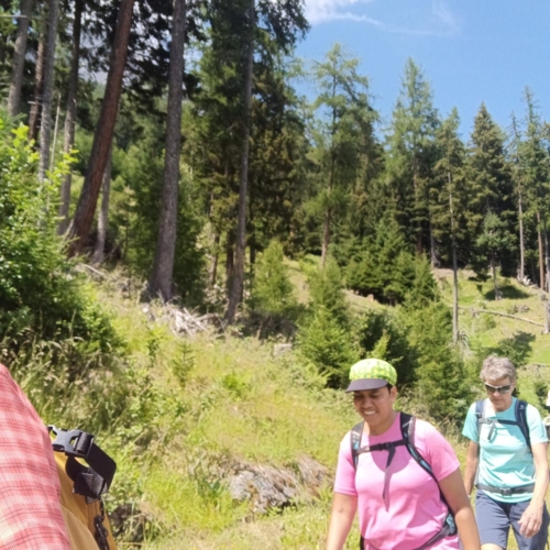 IMG-20260810-WA0011