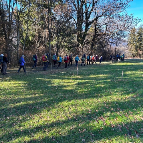 20251129_124138551_iOS