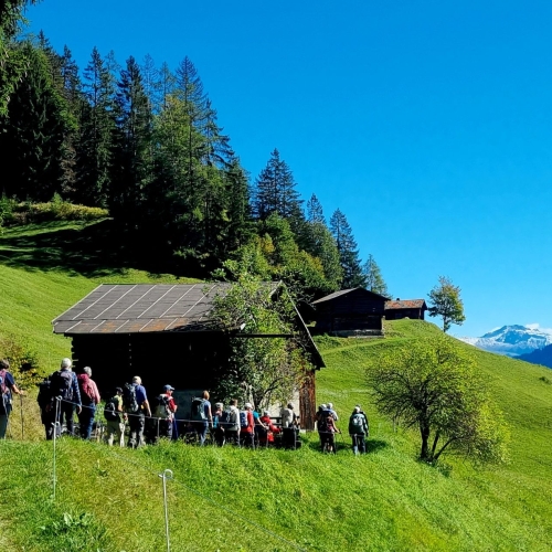 20250928_114251_resized