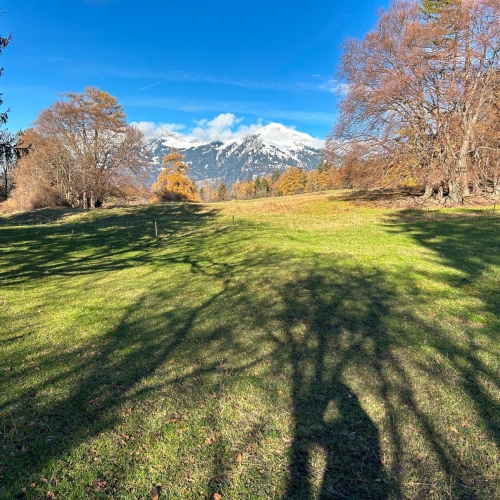 20251129_124041213_iOS