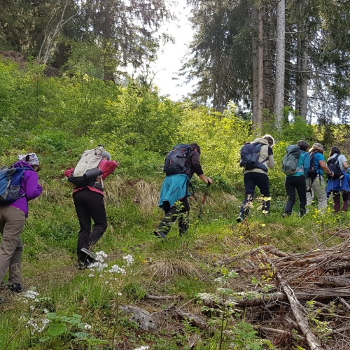 20250518_092850_Ruedi-Zuber