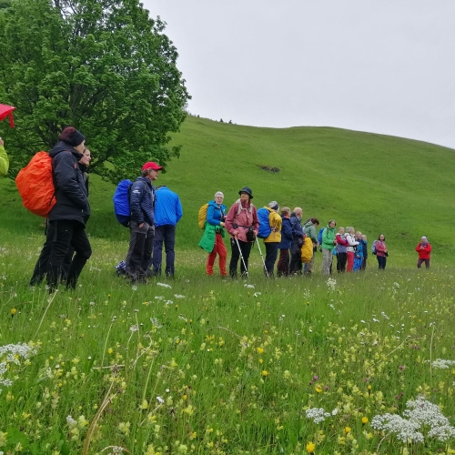 MV25_18_Mitgliederwanderung