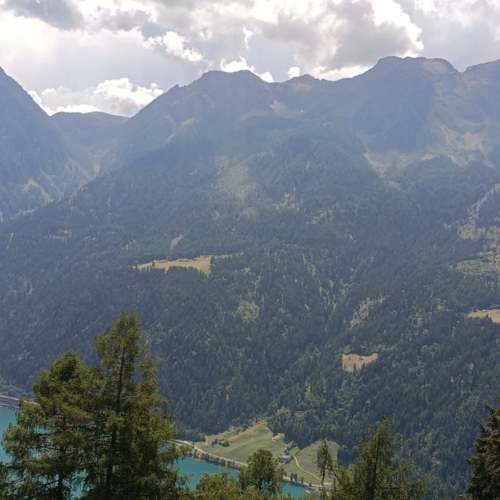IMG-20260810-WA0016