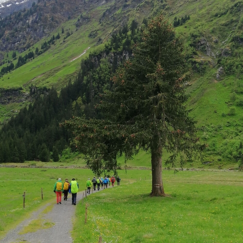 MV25_19_Mitgliederwanderung